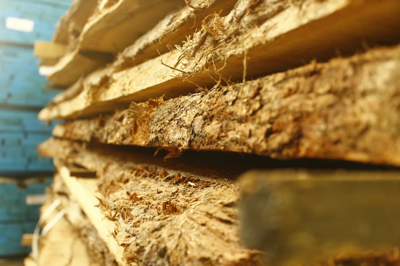 Ottimizzatore di taglio per il legno, collegato al PLC di linea
